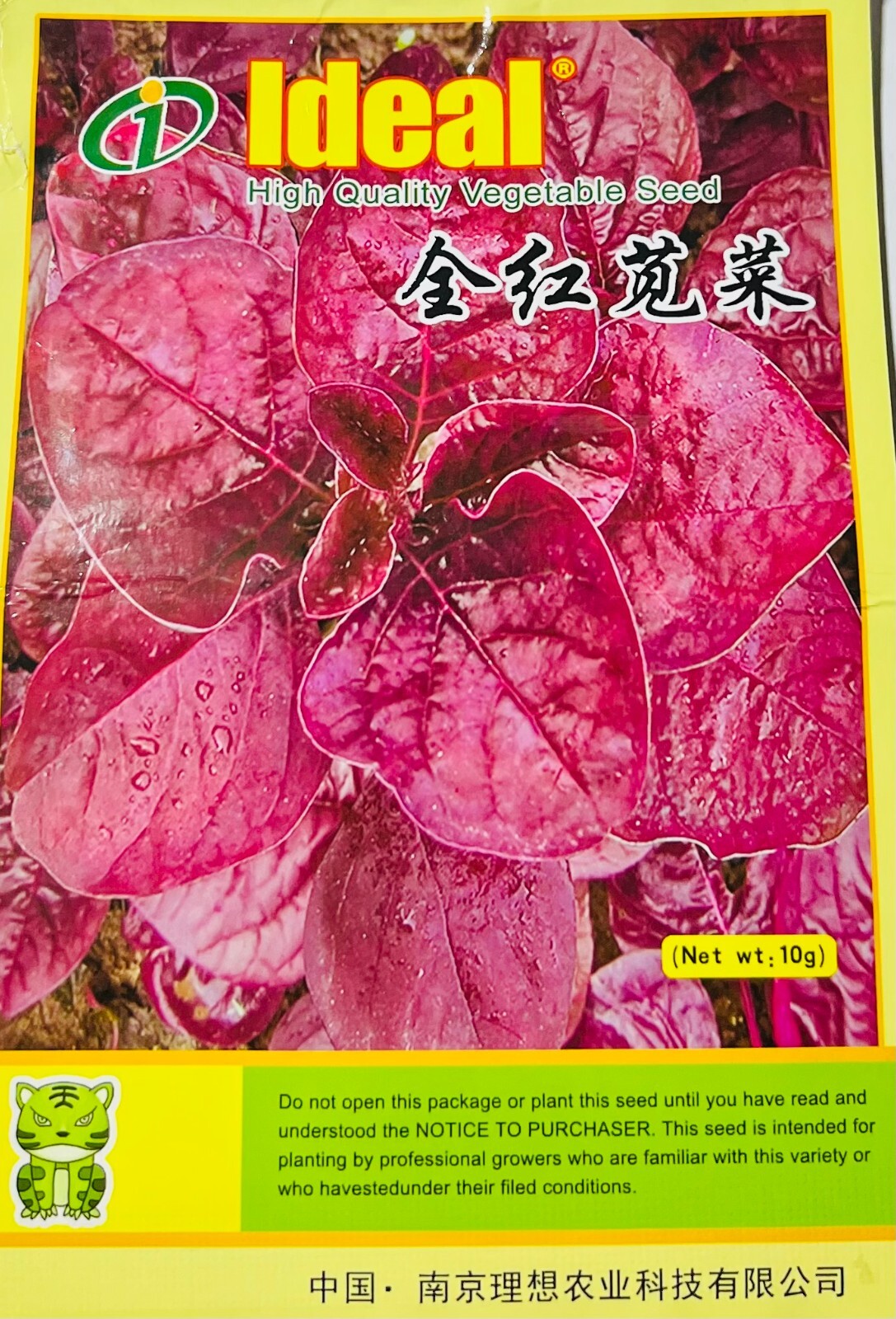 Non-GMO Asian Vegetable Red Amaranth Seeds（全红苋菜）300+Seeds 2023NEW! gallery