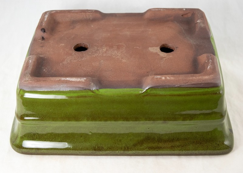 Rectangular Bonsai, Cactus & Succulent Pot 10"x 8"x 3.25" + Mesh - Moss Green gallery