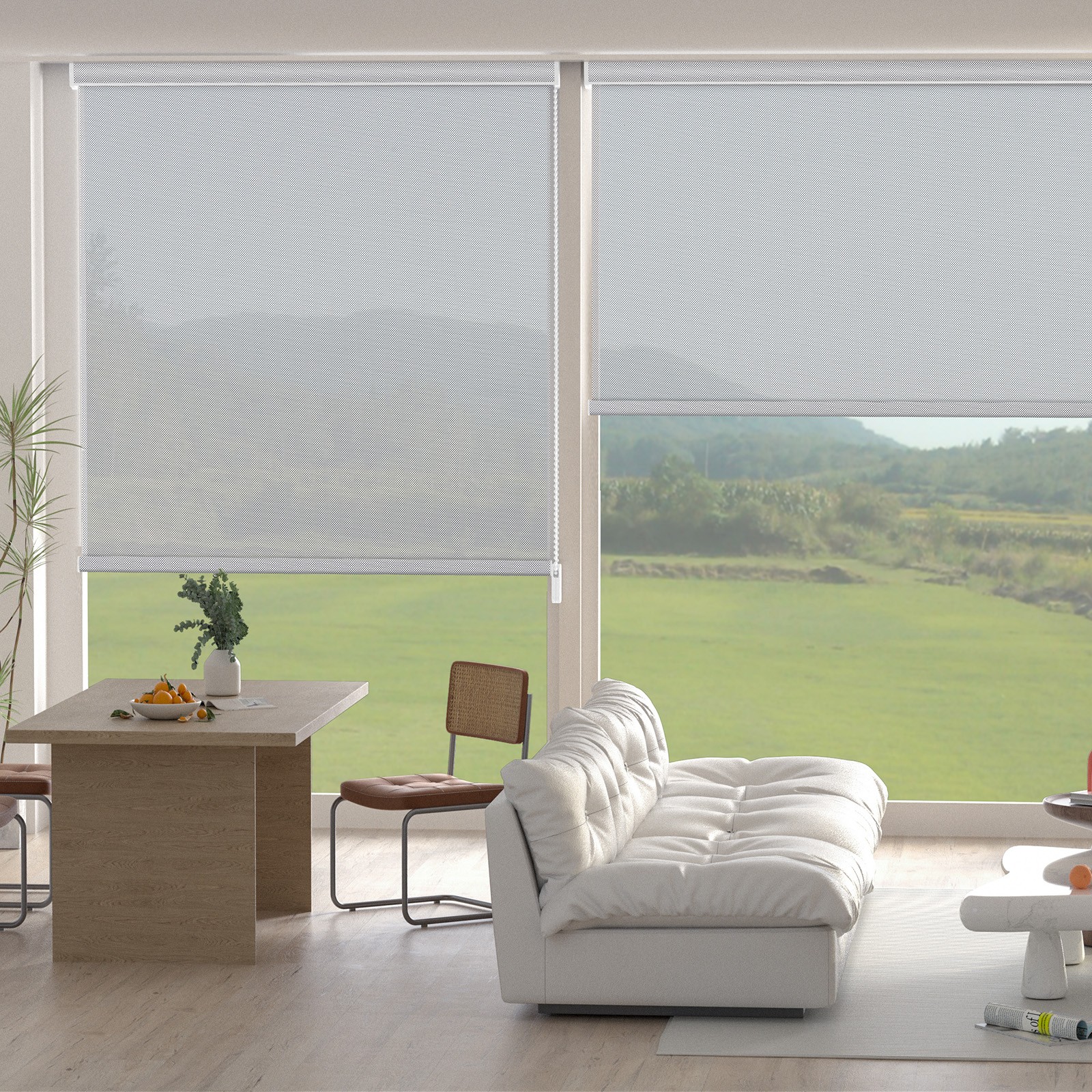Changshade Window Blinds Corded Light Filtering Roller Shades White/ Black/Grey gallery