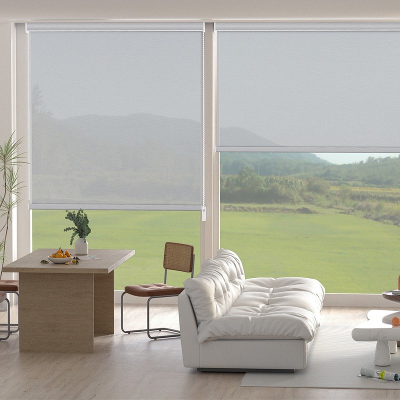 Changshade Window Blinds Corded Light Filtering Roller Shades White/ Black/Grey gallery