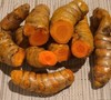 Fresh Organic Yellow Turmeric Root. 1/4-lb package- Free Shipping gallery