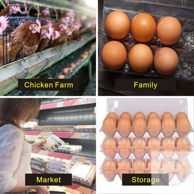 Large Plastic Egg Cartons 30 Packs with Sticker Labels for 12 Eggs, Cheap Bulk gallery