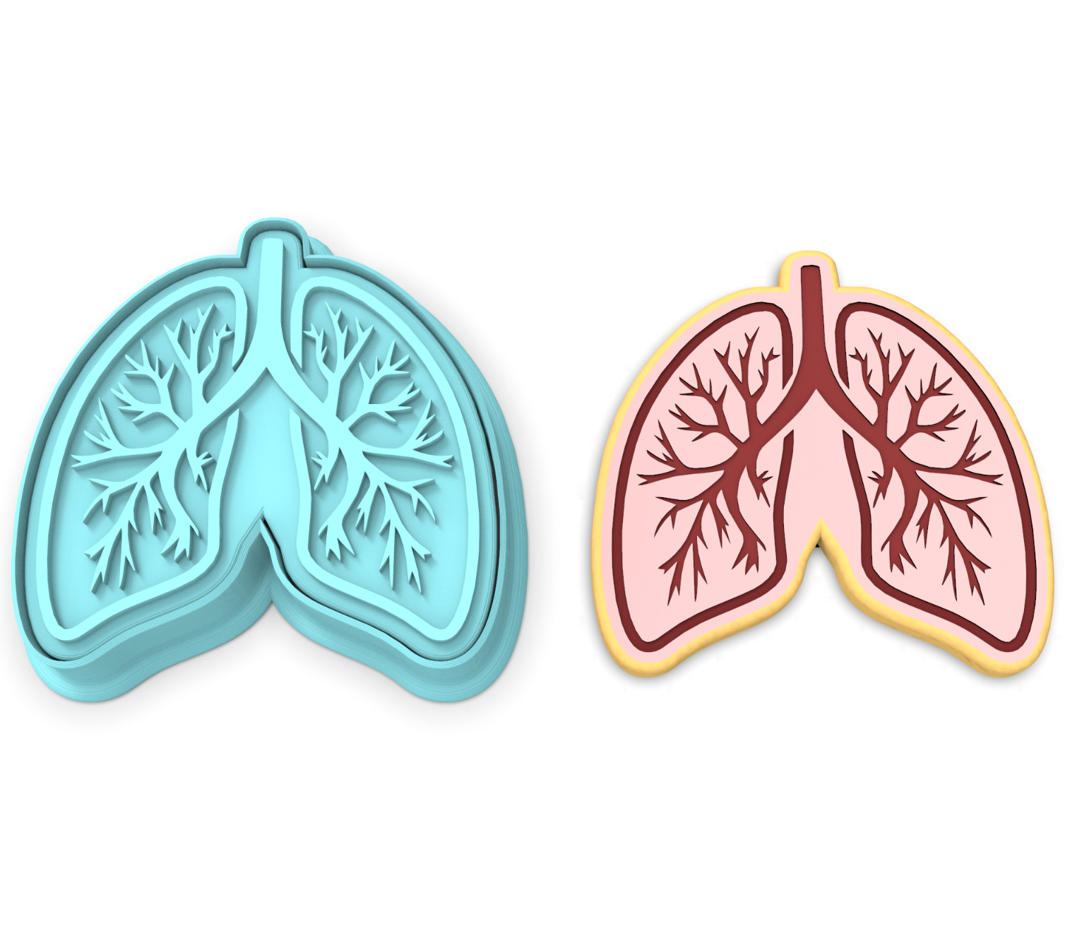 Lungs Cookie Cutter & Stamp | Breathe Respiratory Therapist Doctor Lung Anatomy gallery