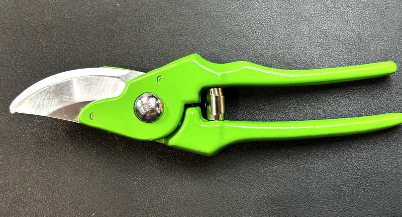 FREUND - TRUE FRIENDS 72 Professional Pruning Shears GERMANY gallery