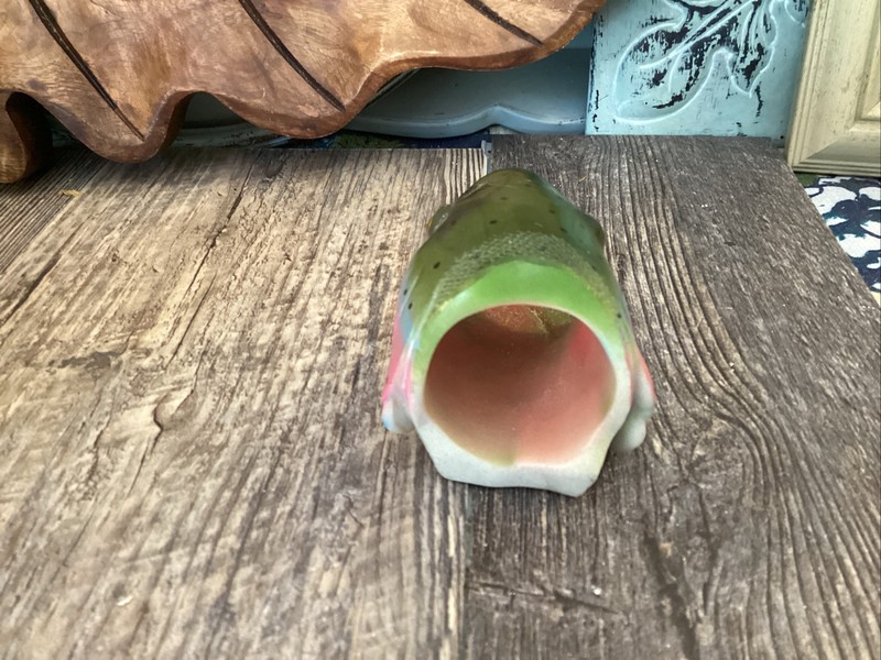 Rainbow Trout Napkin Holders Rustic Cabin Lodge Camp Fishing Dinnerware FISH gallery