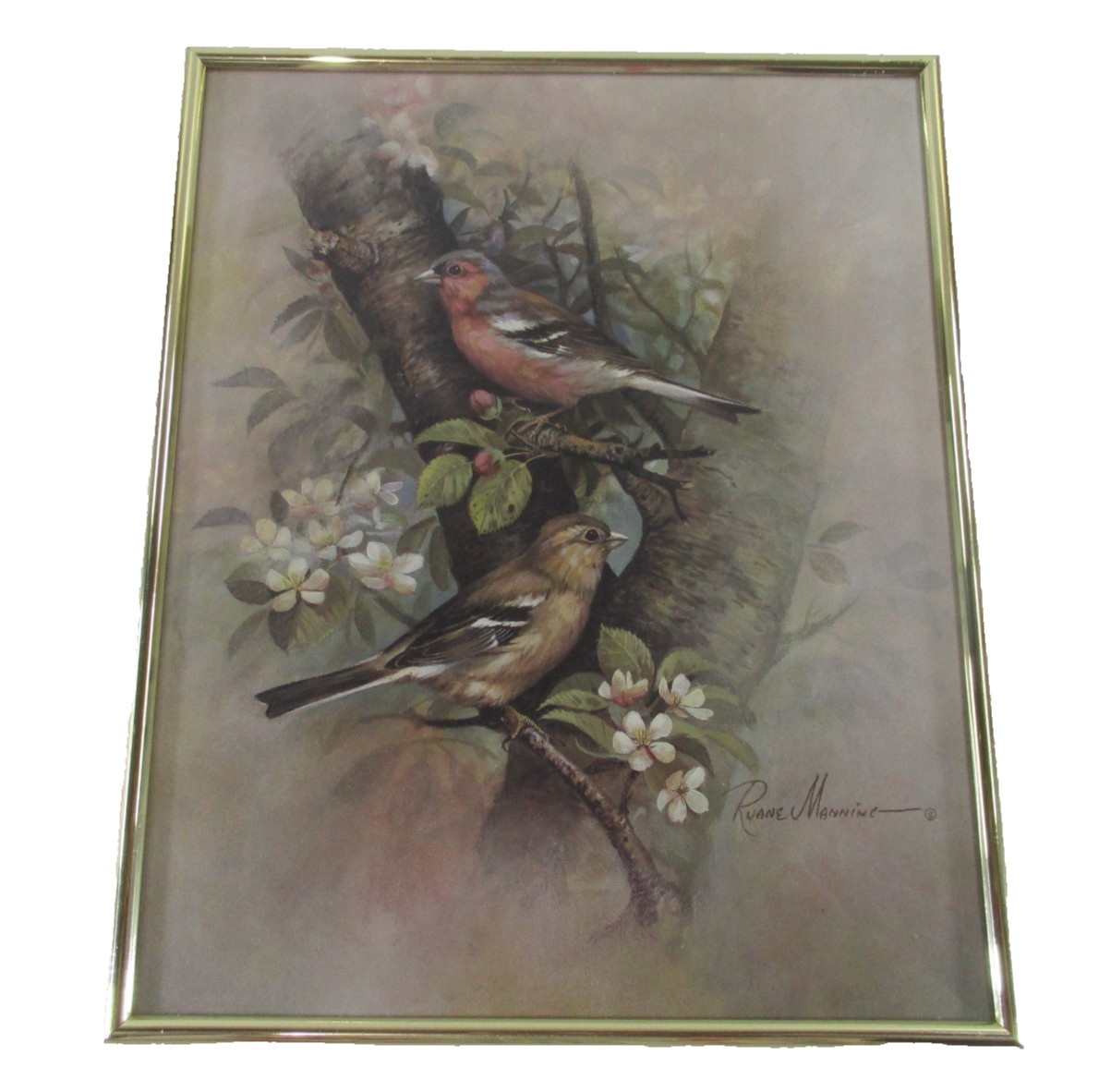 Vintage Ruane Manning Chaffinch Signed Print in Golden Plastic Frame 34cm x 28cm gallery
