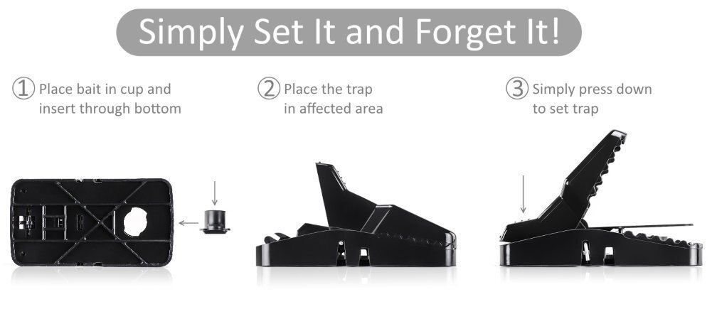 Large Powerful Rat Traps (10 Pack) - Kills Instantly with Powerful Steel Spring gallery