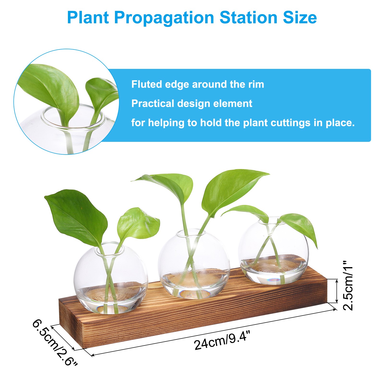 Small Plant Propagation Stations Glass Vases with Wooden Tray 3 Bulb Flower Vase gallery