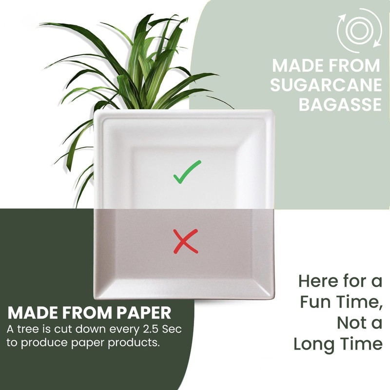 FPN Disposable Plates Square for Party Eco-Friendly Microwave-safe : 6"|8"|10" gallery