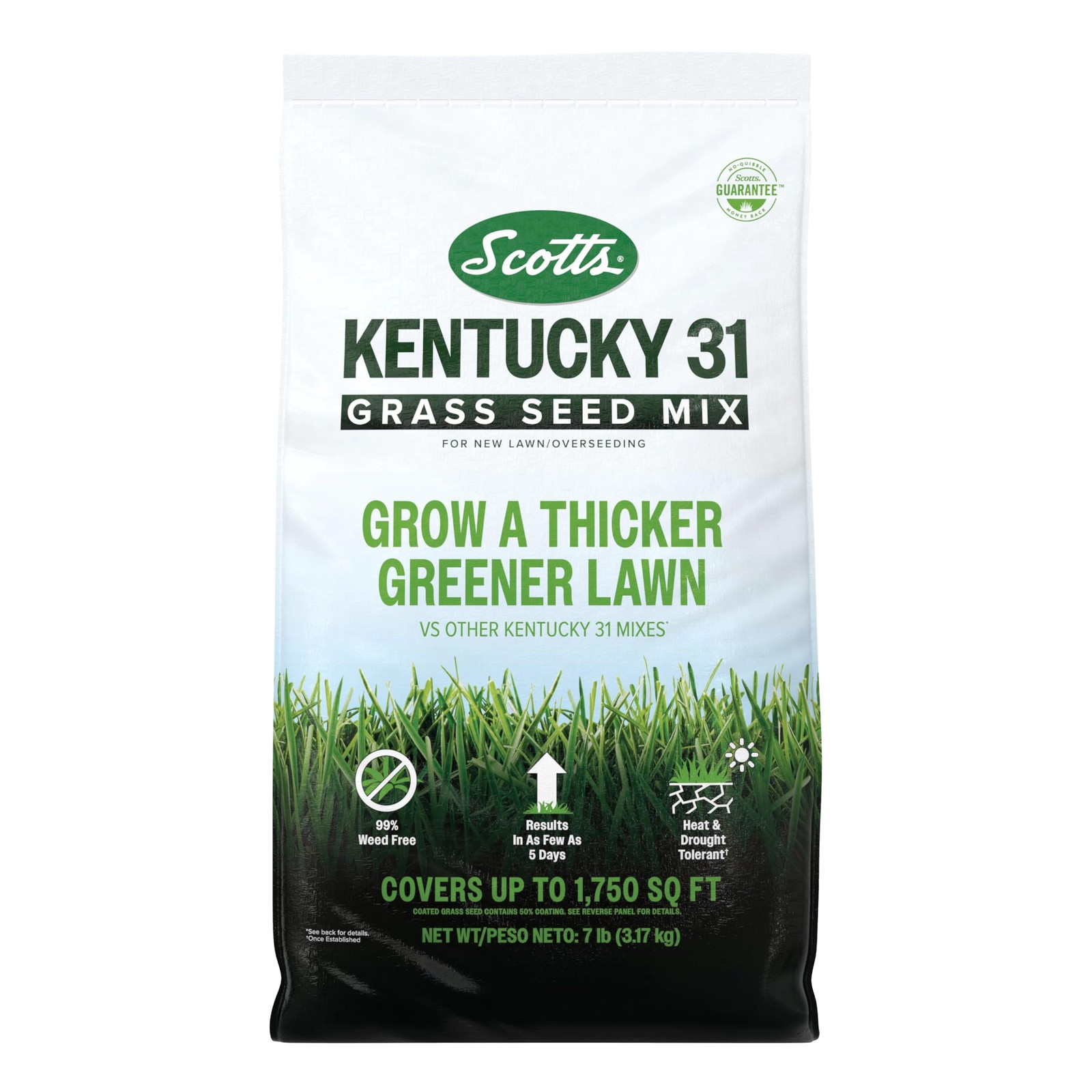 Grow Thicker Greener Grass - Scotts Kentucky 31 Seed Mix 7 lb gallery