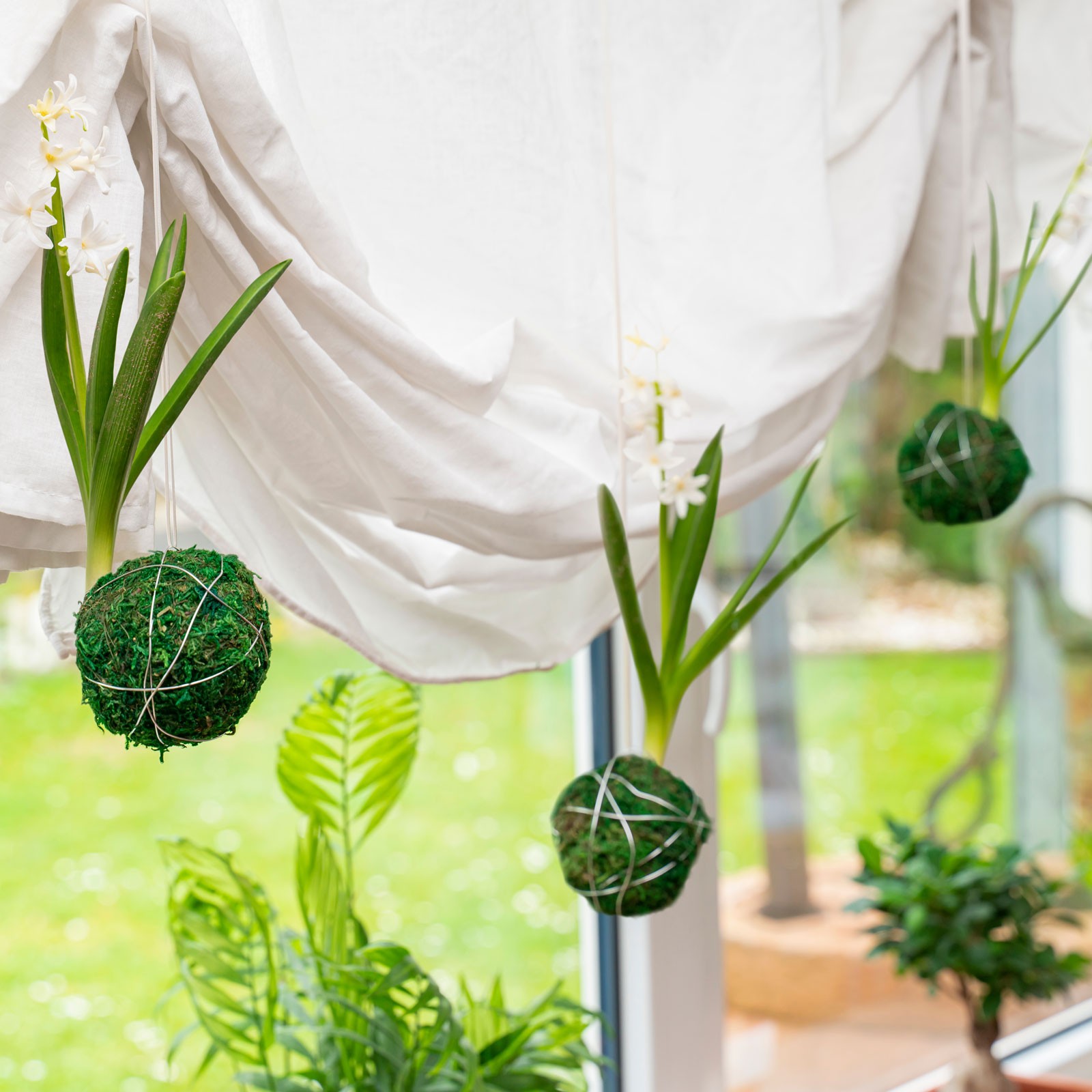 6 Pcs Moss Balls 3.5 Inch Green Moss Balls Decorative gallery