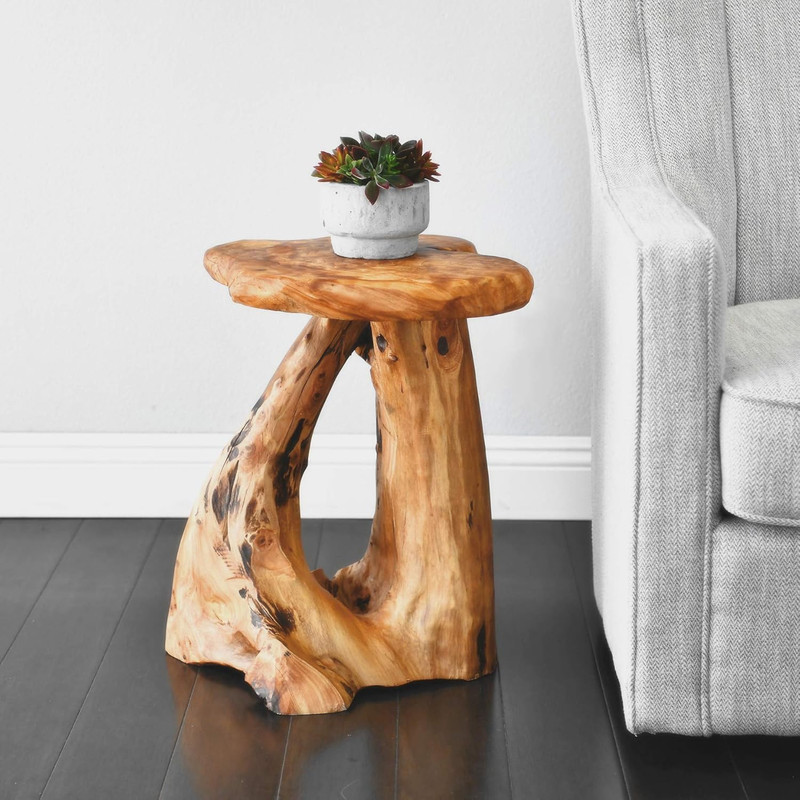 Rustic Natural Tree Stump Stool - 19'' Accent Table & Plant Stand gallery