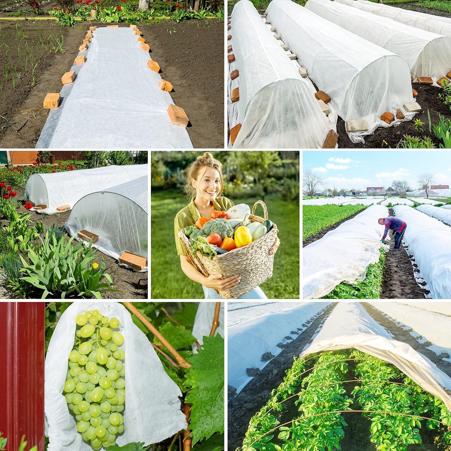 Plant Covers Freeze Protection, 10 x 50FT Frost Cloth Plant Freeze Protection gallery