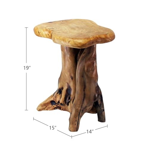 Tree Stump Stool, 19'' Tall Side Table, Live Edge Stool Edge End Natural gallery