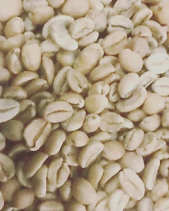 #5 lbs UNROASTED Brazil Santos 100% Arabica - GREEN COFFEE BEANS 2024 gallery