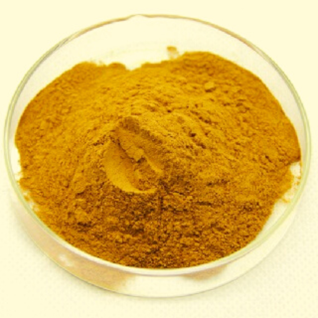 False Calumba Wood Powder | Ceylon Natural Organic Coscinium Fenestratum Herbal gallery
