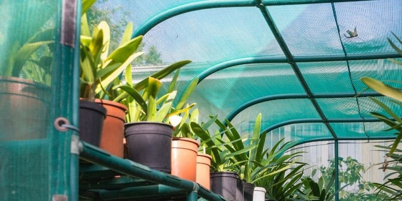 4 ROLLS Green 6' X 40' Sunscreen Sun Shade Windscreen Fabric 95% UV Block Patio gallery