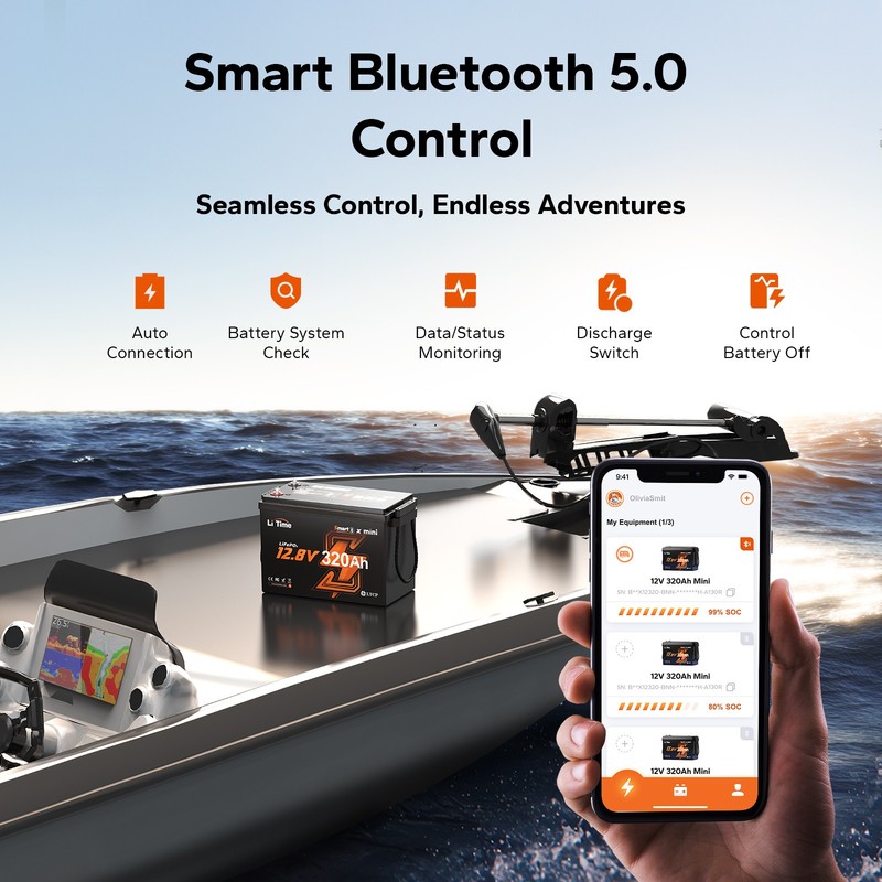 LiTime 12V 320Ah mini Bluetooth Lithium LiFePO4 Battery 200A BMS For RV Marine gallery