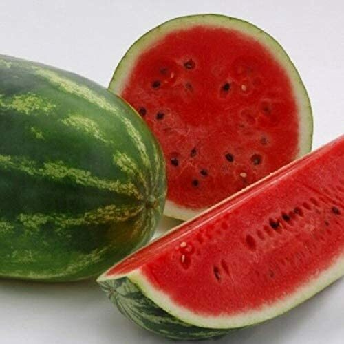 All Sweet Watermelon Seeds | Heirloom / Non-GMO | Free Shipping | 1045 gallery
