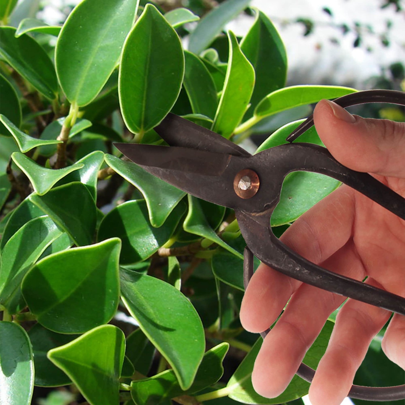 Bonsai Forged Sharp Wire Cutting Scissor with Rubber Handle - 1 Unit gallery