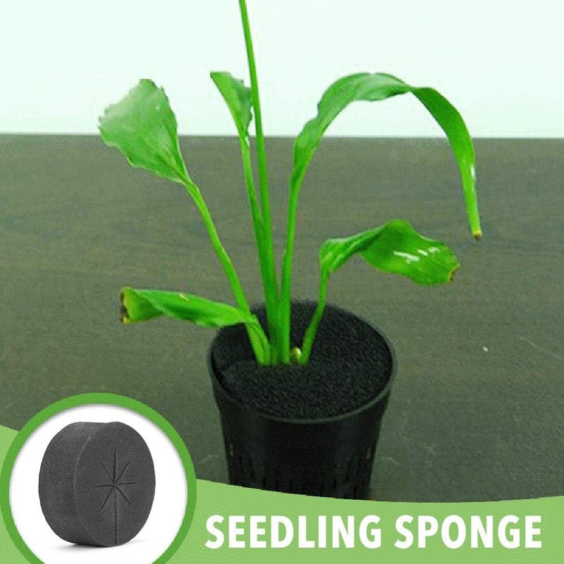 Cloning Collars Inserts, Garden Clone Collars Fits 2 Inch Net Cups, Hydroponi... gallery