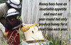 Vanilla and Oak Mead Making Refill Kit 3 Lbs Honey Homebrew Recipe gallery