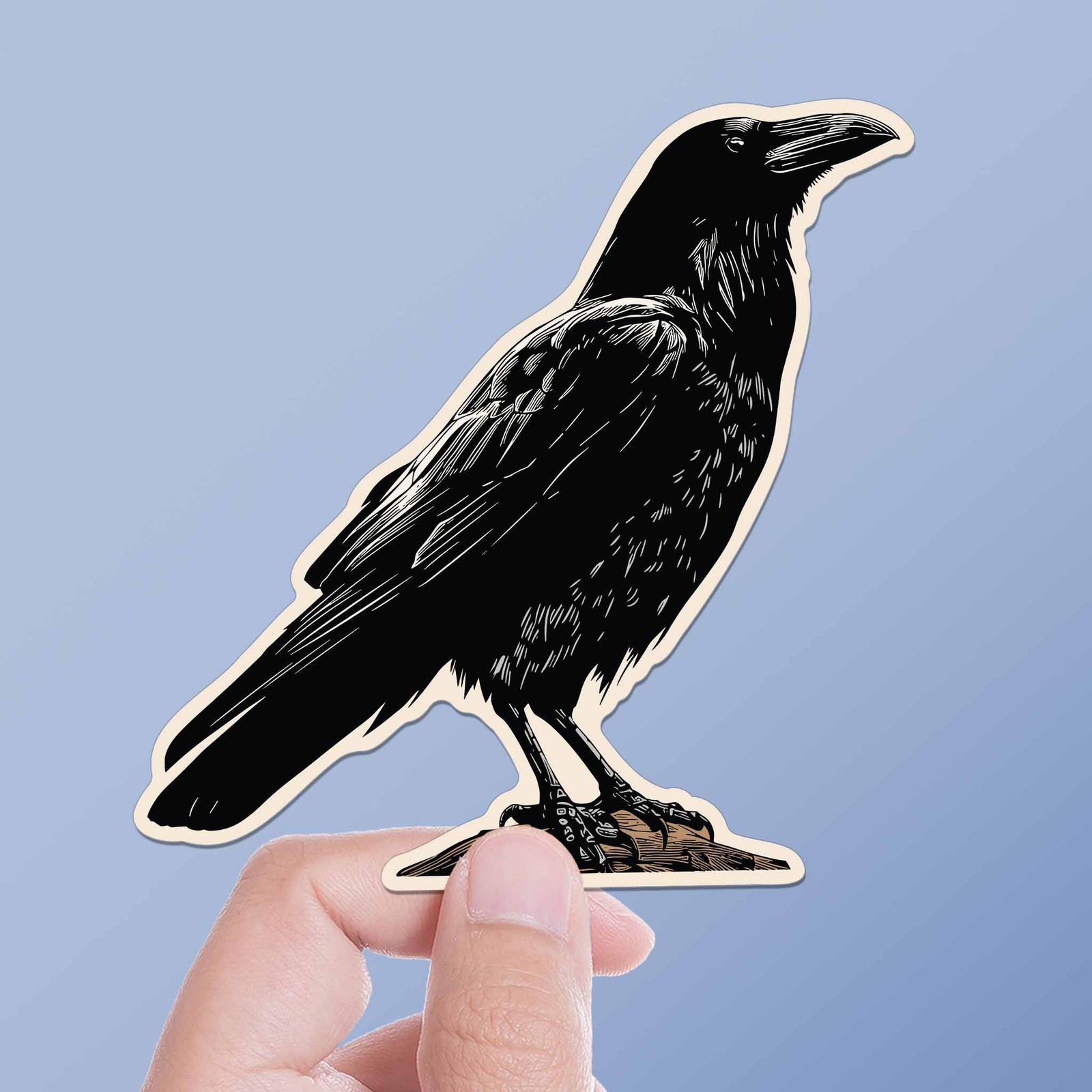 Crow Birdwatching Sticker- Decal for Water Bottle or Laptop gallery