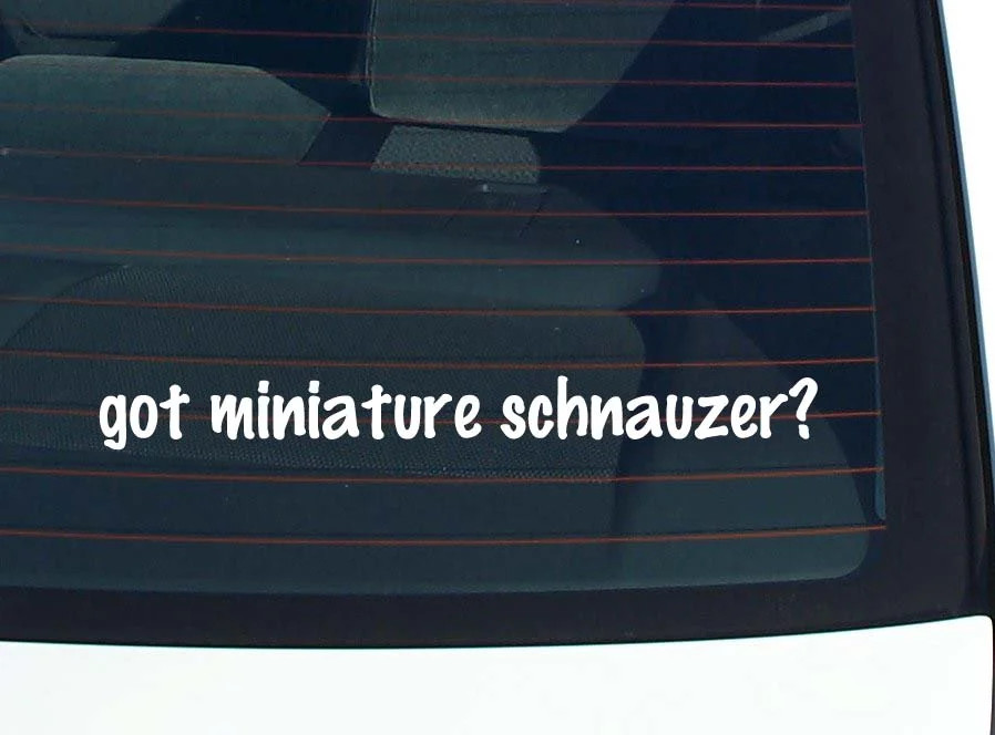 got miniature schnauzer? CAR DECAL BUMPER STICKER VINYL FUNNY JOKE WINDOW gallery