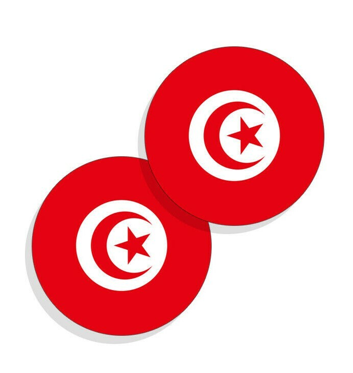 Tunisia Flag Stickers Flag Decals Round Indoor Outdoor Circles Tunisia 4 pack gallery