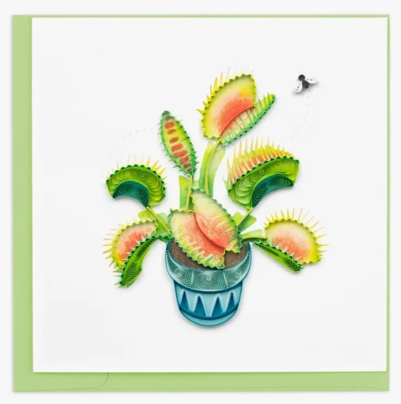 Quilling Card Quilled Venus Flytrap Card Greeting Card gallery