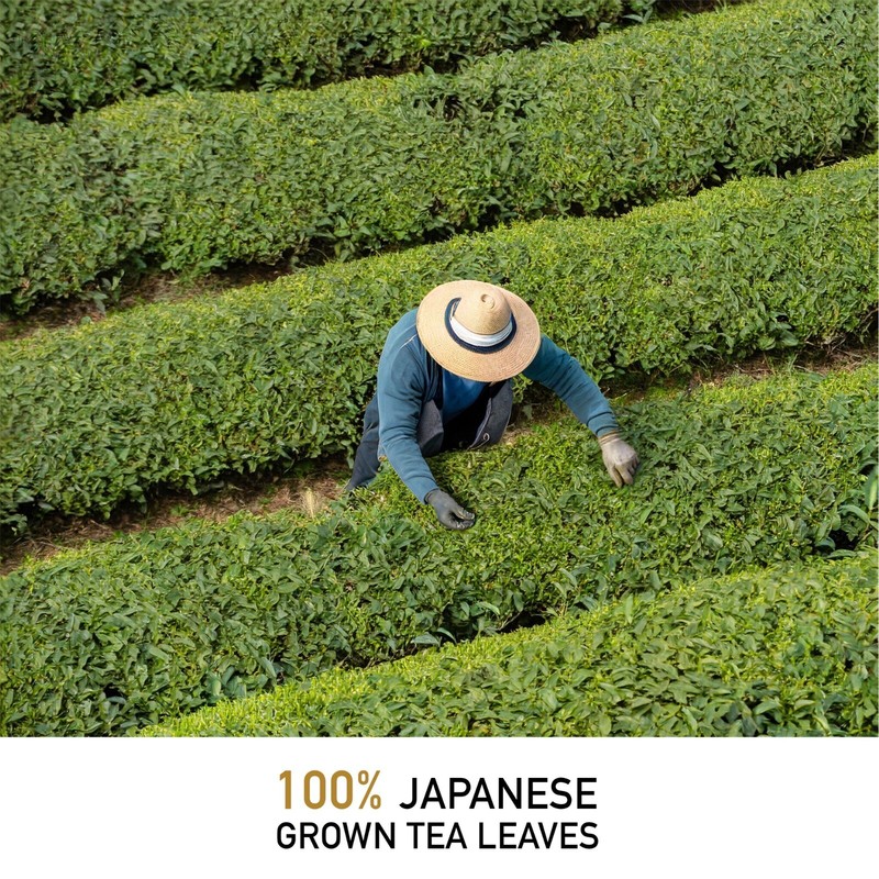 Leafmessage Tea - Premium Hojicha Loose Leaf Artisan Tea 上等焙茶 ほうじちゃ 100g gallery
