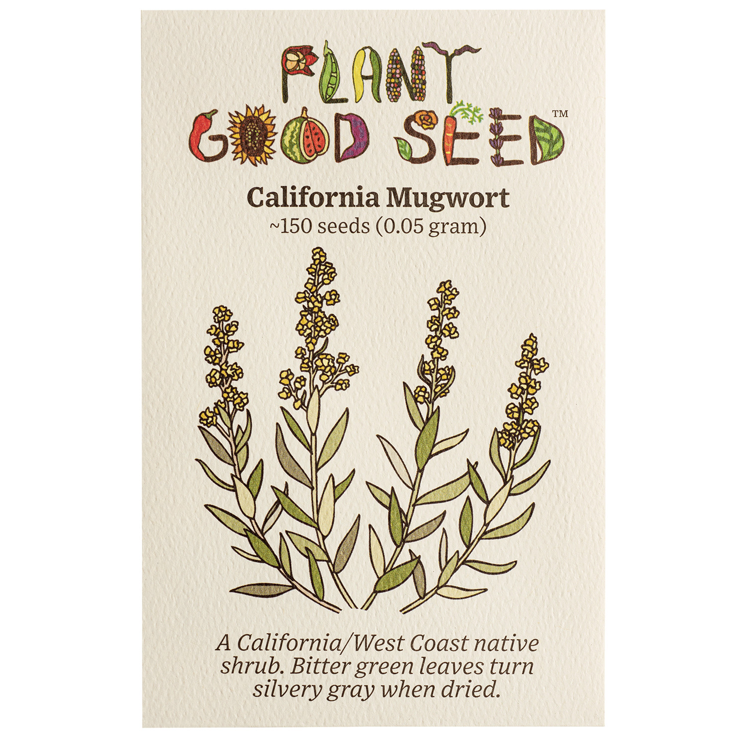 California Mugwort Seeds gallery