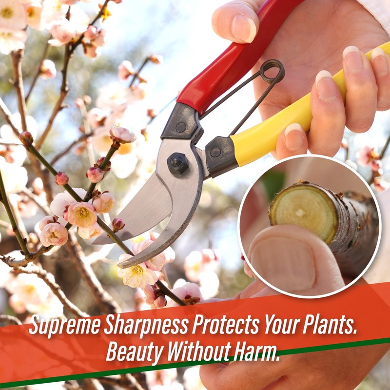 SUIZAN Japanese Pruning Shears 8” Professional Bypass Garden Shears Scissors gallery