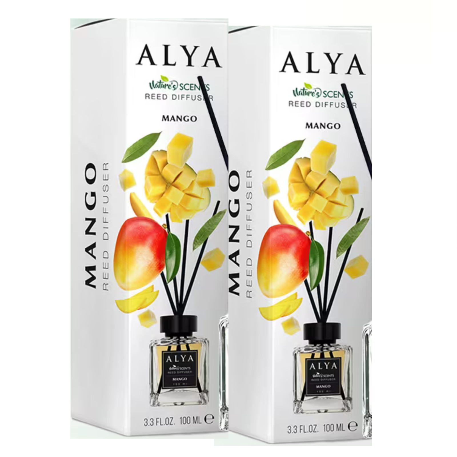 ALYA Nature Scents Reed Diffuser 3.3oz gallery