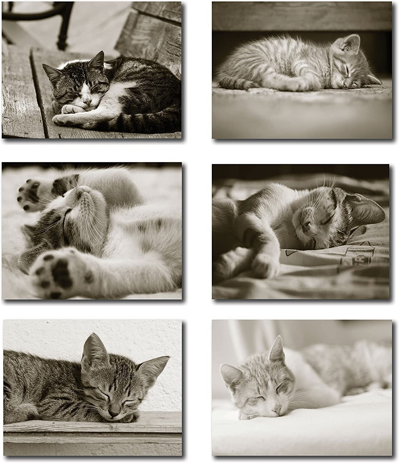 Sleeping Kittens Note Cards-Blank Inside-5.5"x4.25"-12 Pack gallery