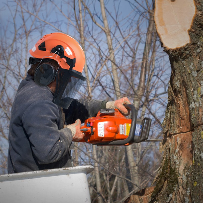 Forestry Safety Helmet with Ear Muffs & Face Shield Visor Chainsaw Anti-Fog gallery