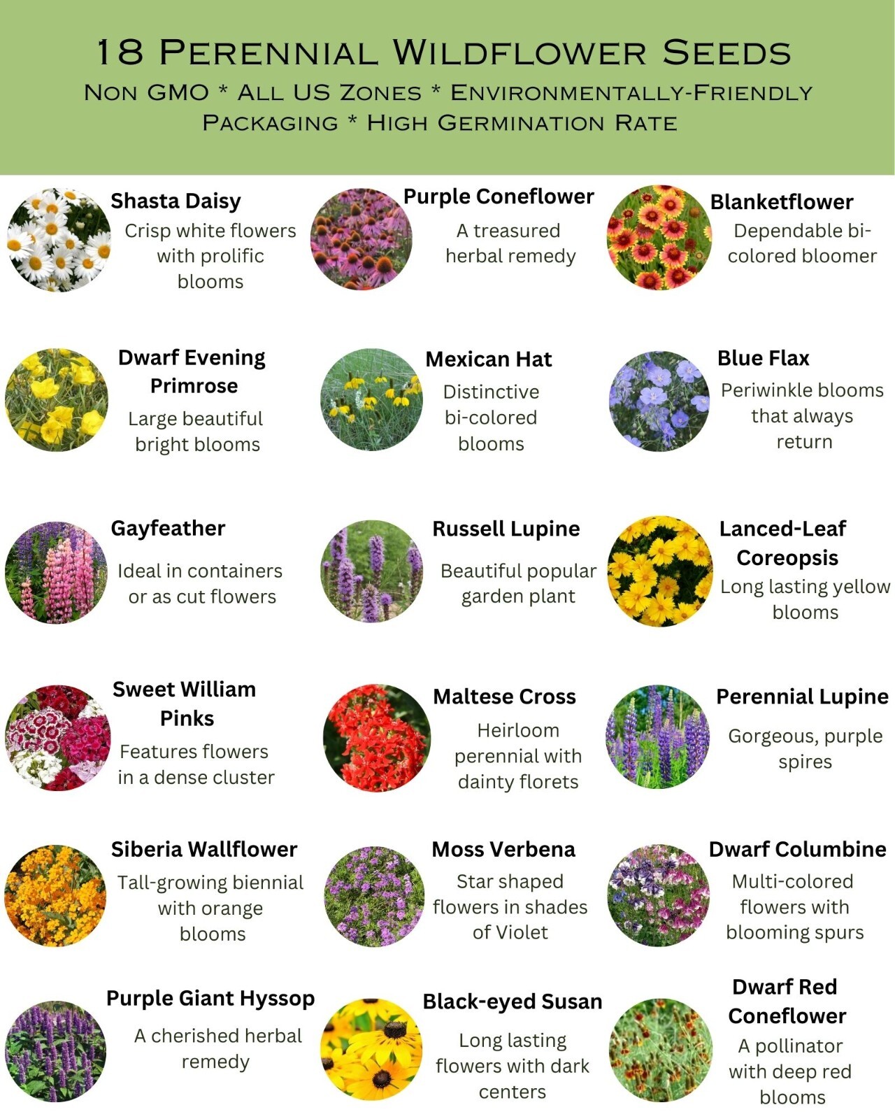 Bulk Wildflower Seed Mix - 187,500 Seeds, All Perennial, Covers 1000 SQFT gallery