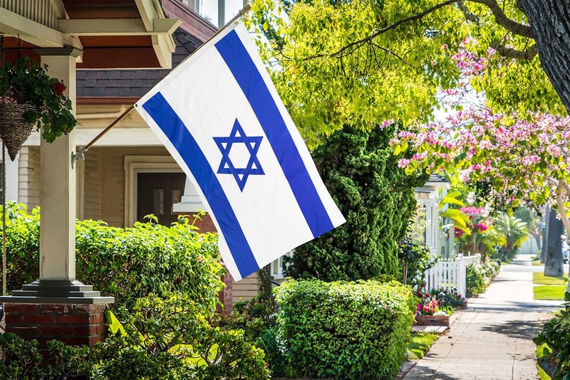 DANF Israel Flag 3x5 Ft Thick Polyester, Fade Resistant, Brass Grommets, Canv... gallery