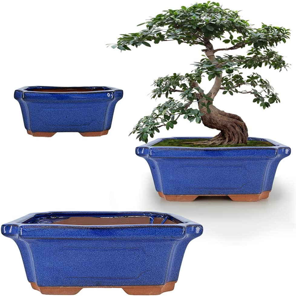 3 Pack Ceramic Rectangular Bonsai Tree Planter Pot Set 6”+7”+9”, Cactus Succulen gallery