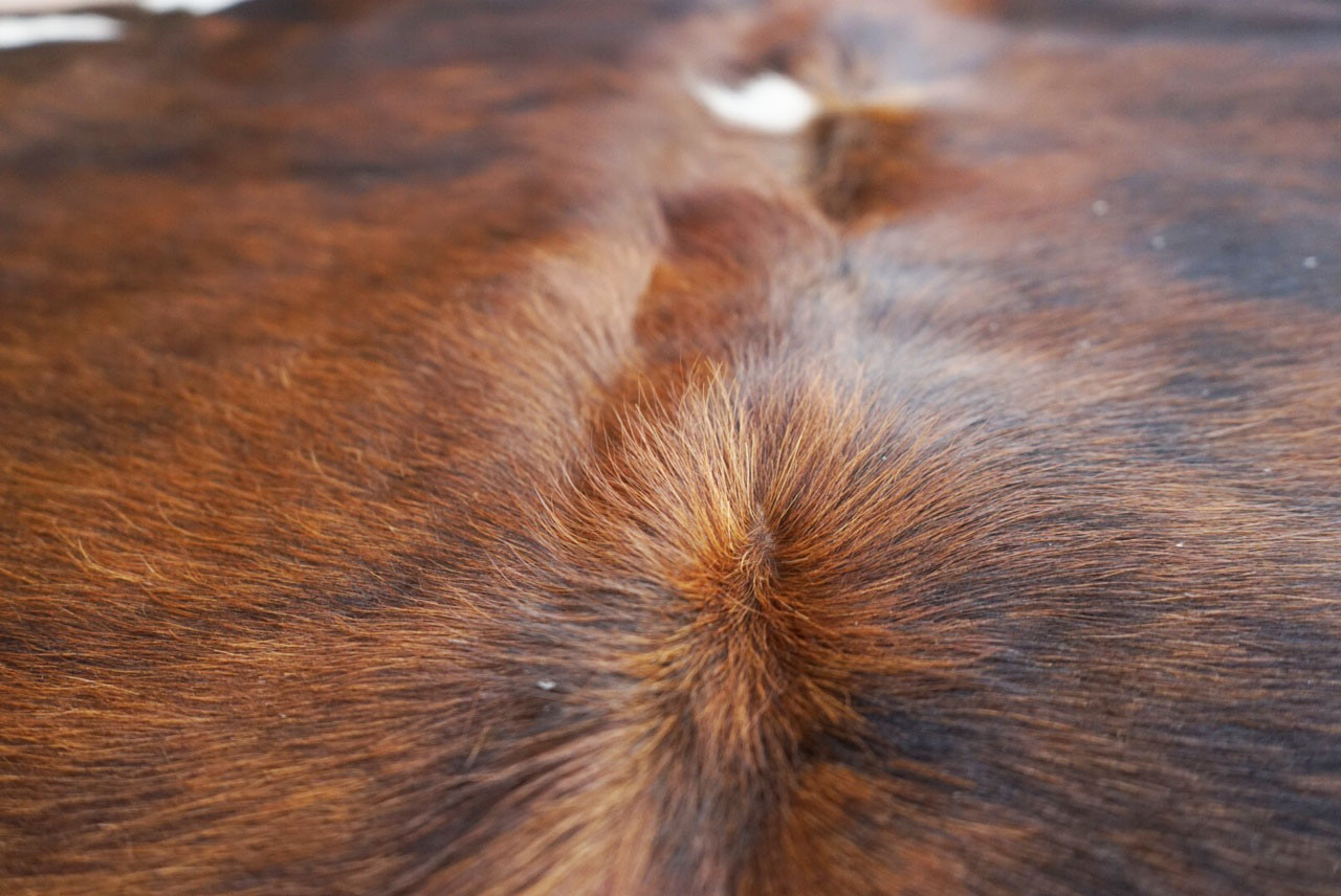 Brindle Rodeo Cowhide Rug Hair on authentic leather rug size approx 6x7 ft gallery