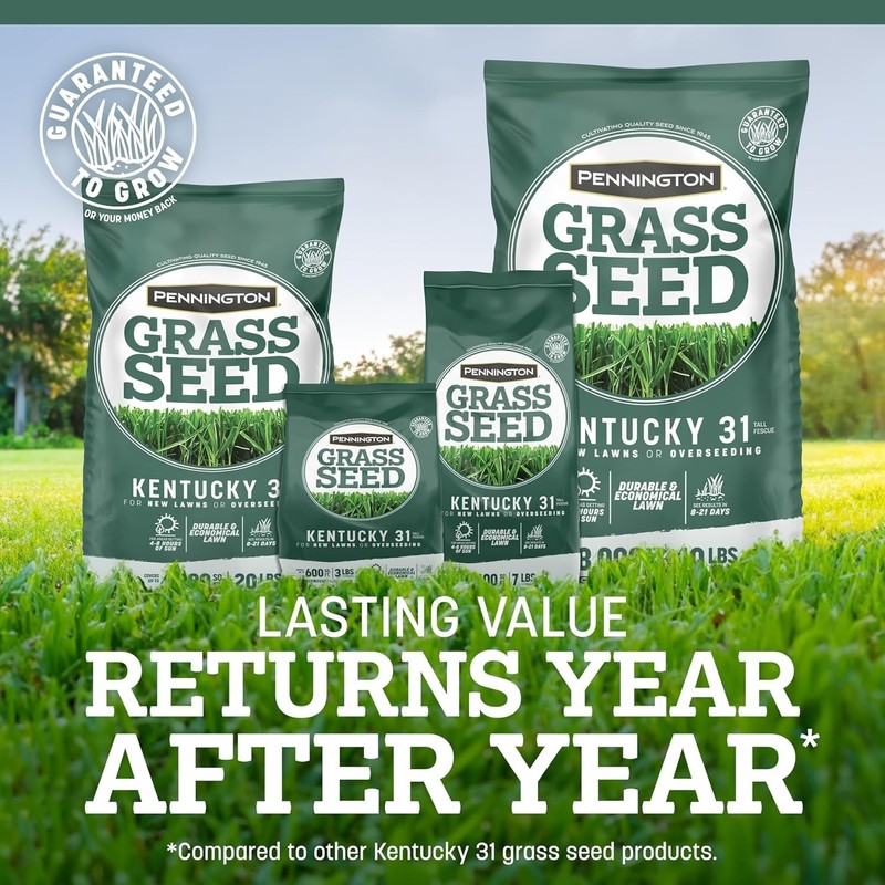 Drought-Resistant Fescue Grass Seed - 100% Kentucky 31, 3 lb Easy Planting gallery