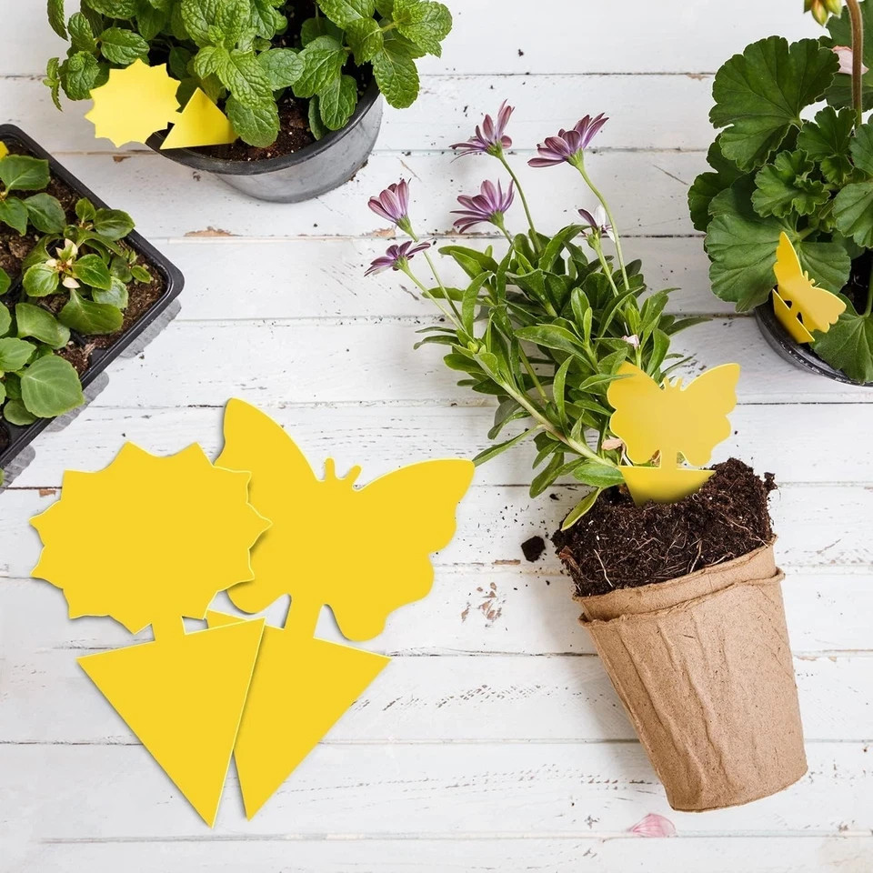 48PCS Sticky Fruit Fly Traps, Fungus Gnat Killer Trap use Indoor Outdoor gallery
