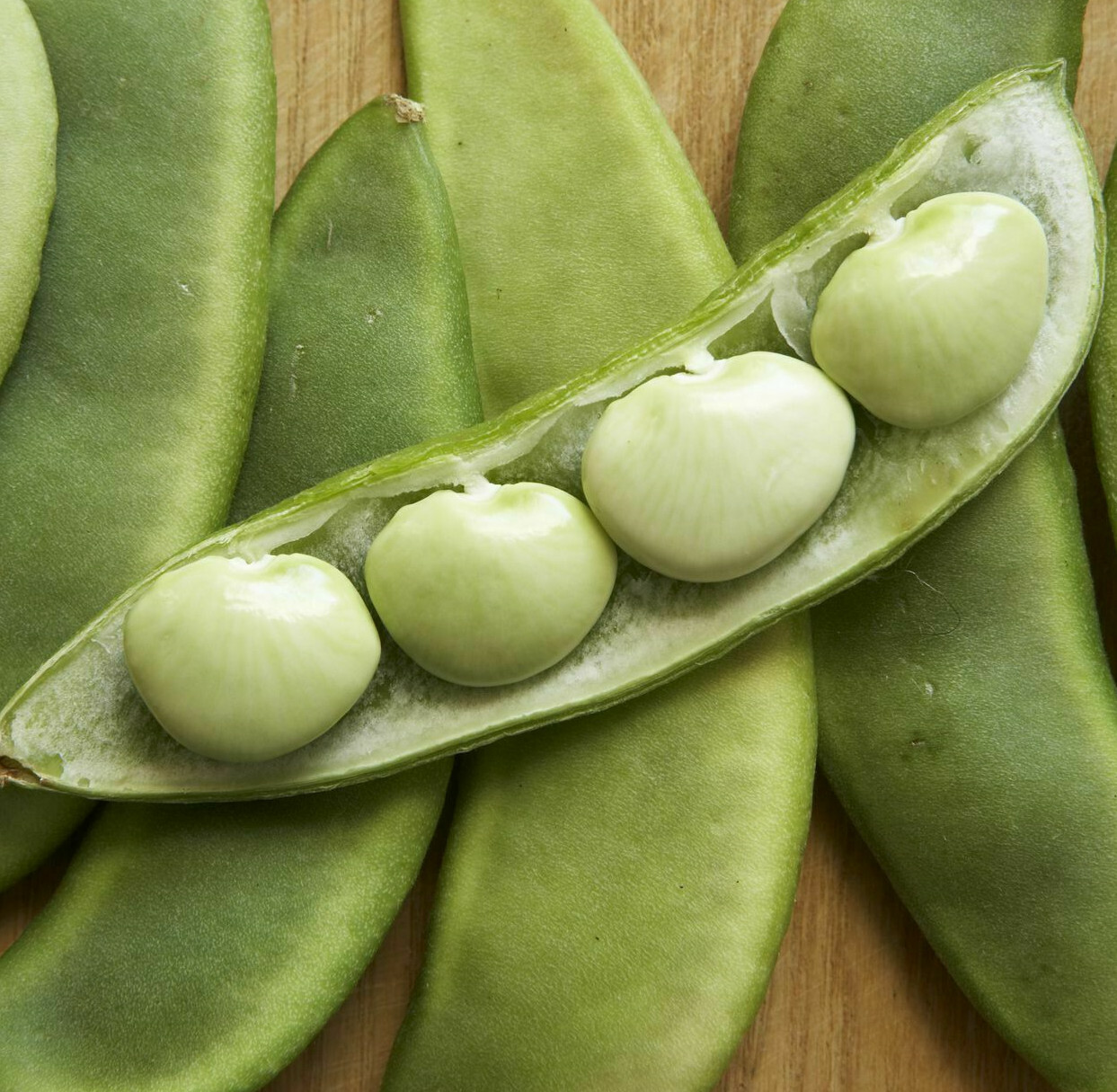 Fordhook 242 Lima Bean Seeds | Heirloom Butter Pea Fava Vegetable Seed New 2024 gallery