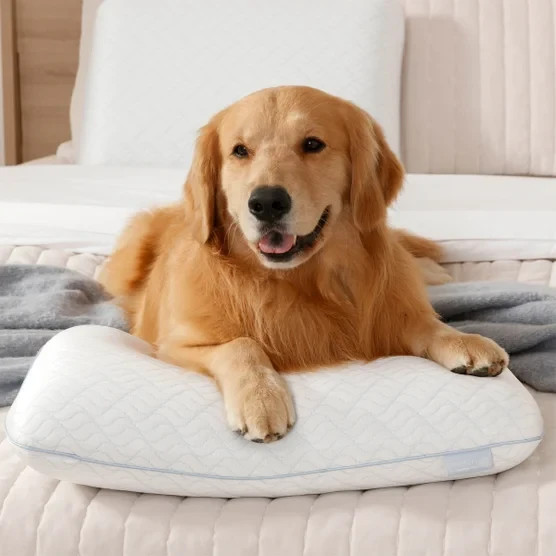 Tempur-Pedic Serenity Cooling Memory Foam Pillow Washable Cover Standard New gallery