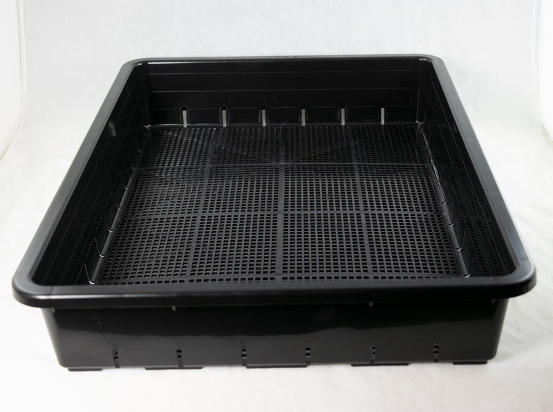 2 Pcs - 20" Japanese Plastic Propagation, Bonsai Forest / Group Planting Tray gallery