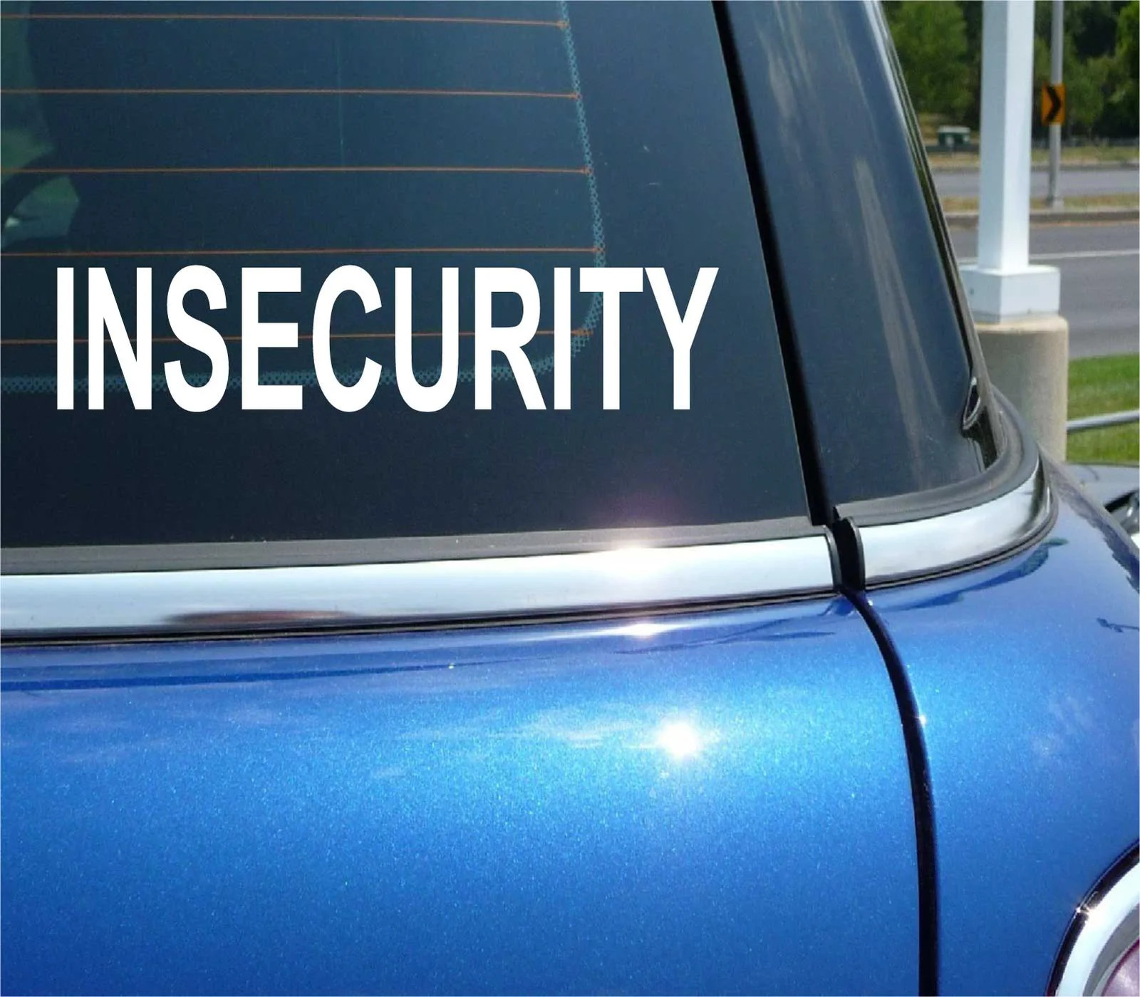 INSECURITY SECURITY GUARD FUNNY DECAL STICKER ART CAR WALL gallery