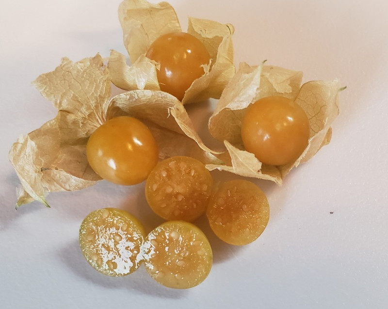 Pineapple Ground Cherry (100+ Seeds) - unique and versatile! gallery