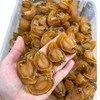 Premium Dried Abalone 25 头 野生南美小干鲍鱼 8oz - 16 oz gallery