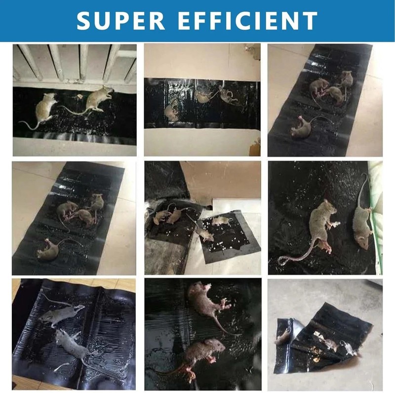 4 Pack Large Mice Mouse Glue Traps Rodent Catcher Rat Board Indoor Super Sticky gallery