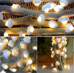 Natural Seashell String Lights 13.2Ft 40 LED 8 Modes Warm White Weatherproof …
